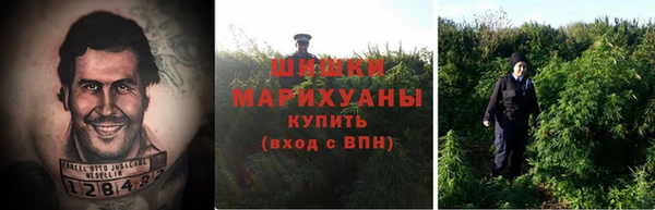 стаф Верхний Тагил