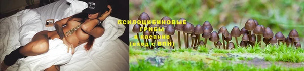 стаф Верхний Тагил