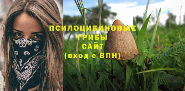 стаф Верхний Тагил