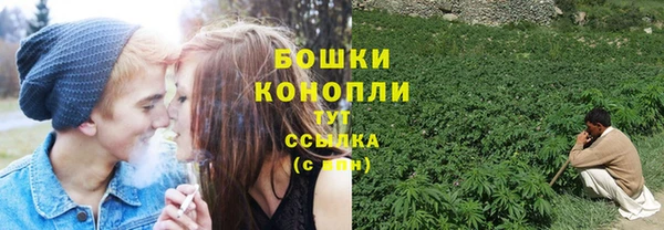 стаф Верхний Тагил