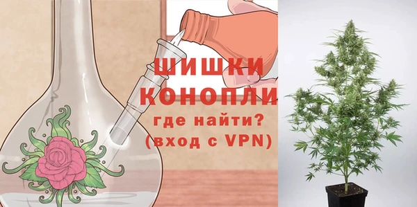 стаф Верхний Тагил