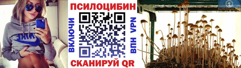 Галлюциногенные грибы Magic Shrooms  Новосибирск 